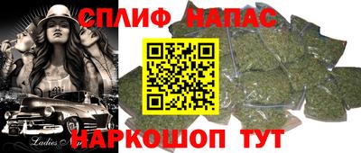 2c-b Кингисепп