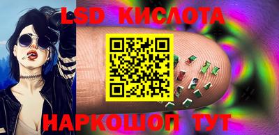 2c-b Кингисепп